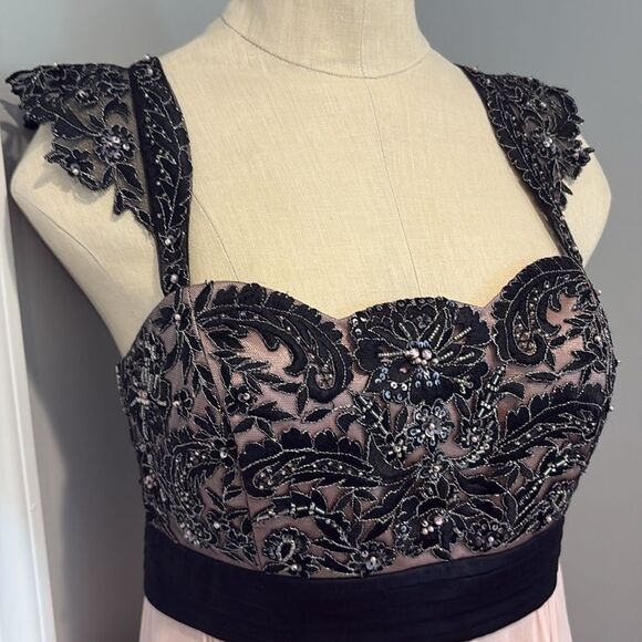 Sue Wong Walt Disney “Alice in Wonderland” 
Black & Rose Lace Trim Dress Size 6 - Picture 4 of 16